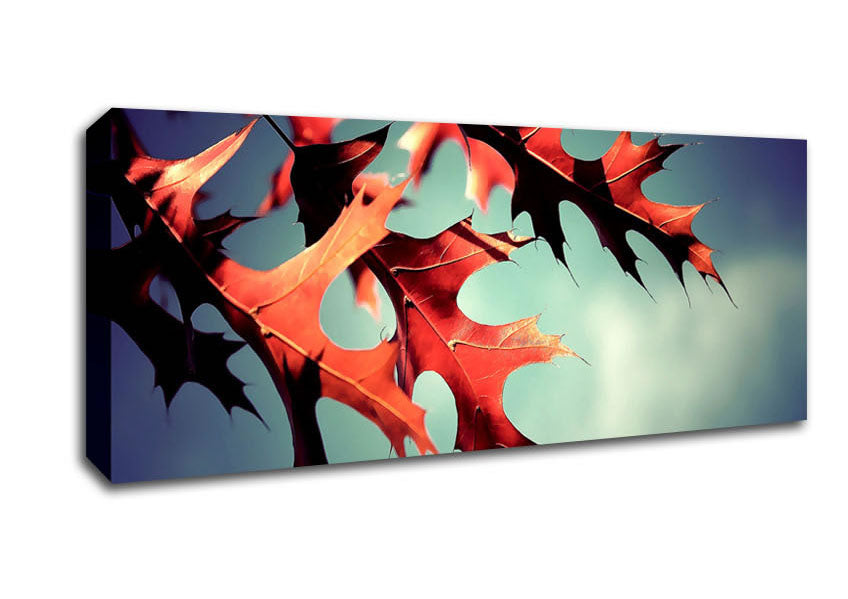 Picture of Fall Oak Leaves 2 Panoramic Canvas Wall Art