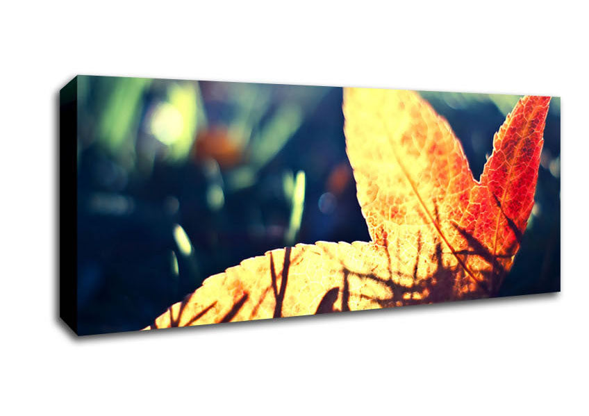 Picture of Fallen Leaf Panoramic Canvas Wall Art