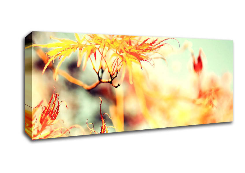 Picture of Fall Is But A Dream Panoramic Canvas Wall Art