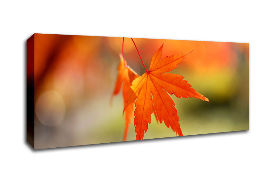 Picture of Orange Leaves Sparkle Panoramic Canvas Wall Art