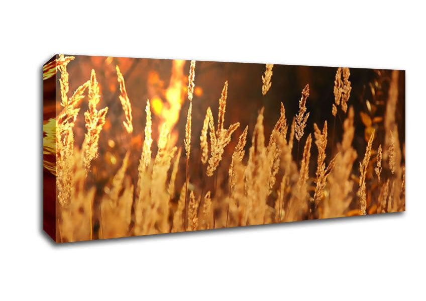 Picture of Golden Field Panoramic Canvas Wall Art