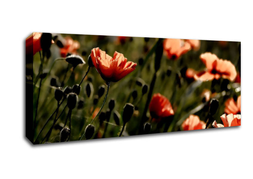 Picture of Light Of A New Day Panoramic Canvas Wall Art