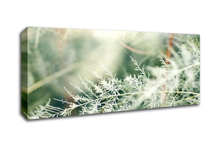 Picture of Winter Snow Leaves Panoramic Canvas Wall Art
