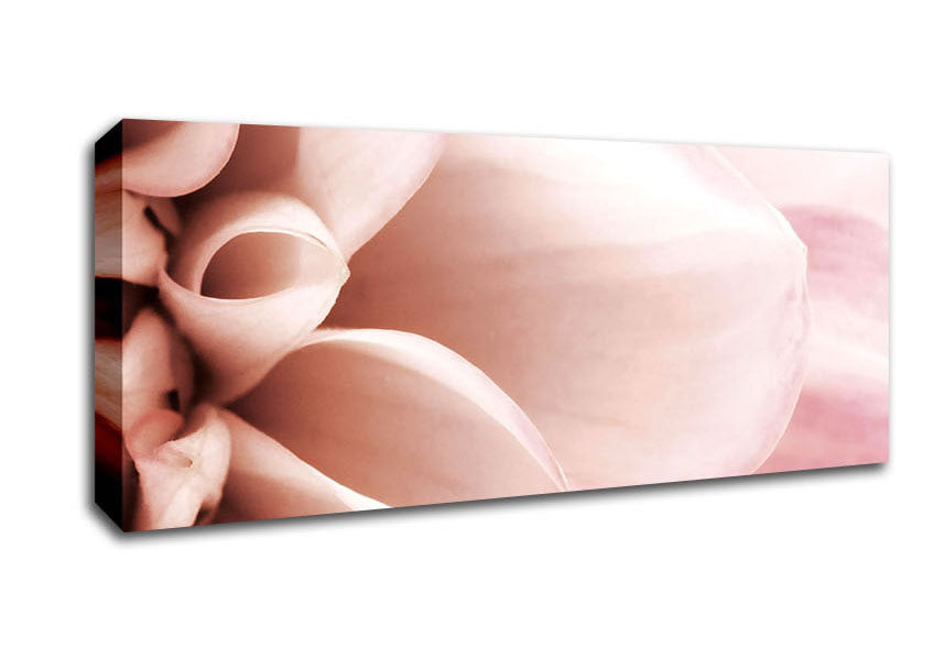 Picture of Delicate Petals Panoramic Canvas Wall Art