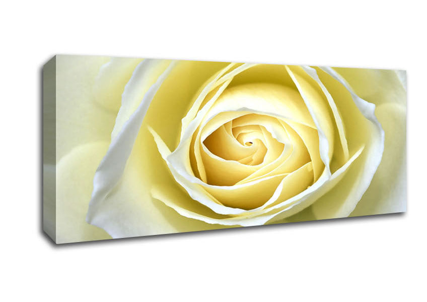 Picture of Delicate Elegance Panoramic Canvas Wall Art