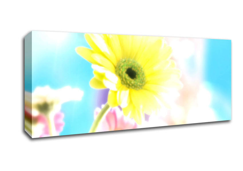 Picture of Colourful Summer Rainbow Flowers Panoramic Canvas Wall Art