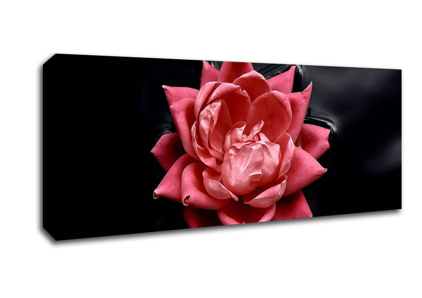 Picture of Floating Flower Panoramic Canvas Wall Art