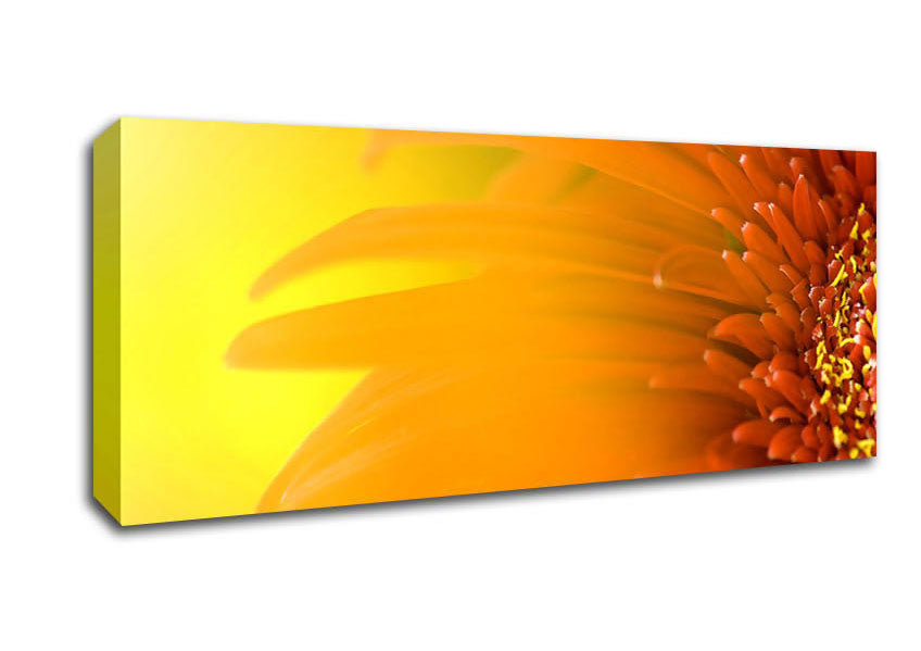 Picture of Orange Flower Mist Panoramic Canvas Wall Art