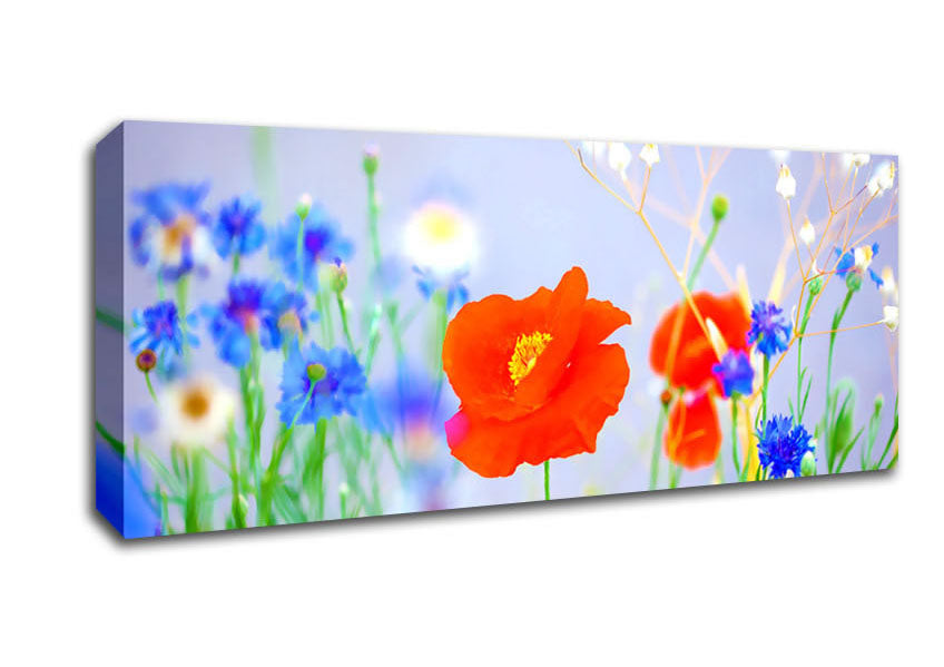 Picture of Lovely Poppy Garden Panoramic Canvas Wall Art