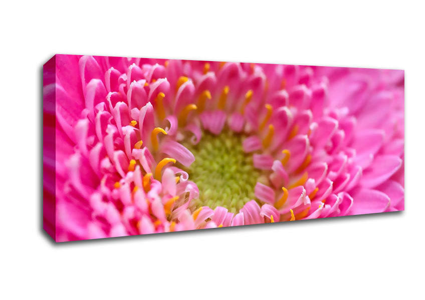 Picture of Pink Flower Centre Panoramic Canvas Wall Art