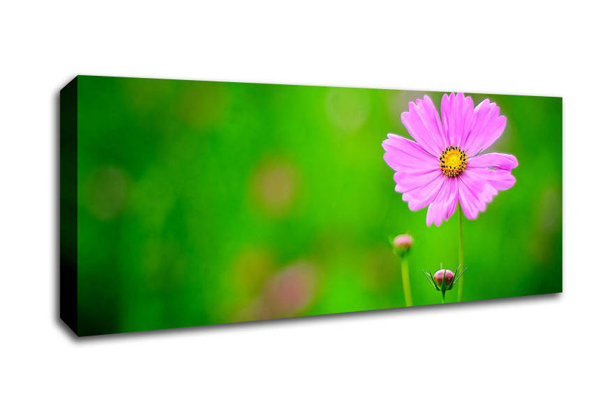 Picture of Pink Flower Green Background Panoramic Canvas Wall Art