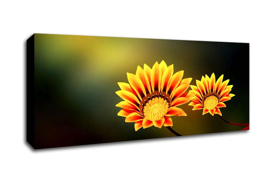 Picture of Duo Fire Flowers Panoramic Canvas Wall Art
