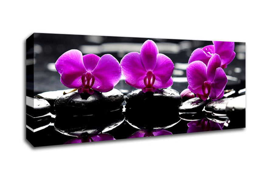 Picture of Trio Of Orchids Panoramic Canvas Wall Art
