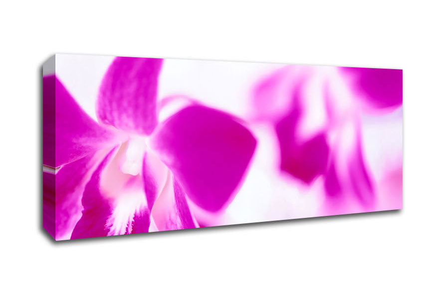 Picture of Purple Flowers On White Background Panoramic Canvas Wall Art