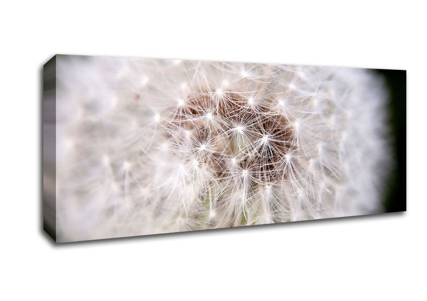 Picture of Make A Wish Panoramic Canvas Wall Art