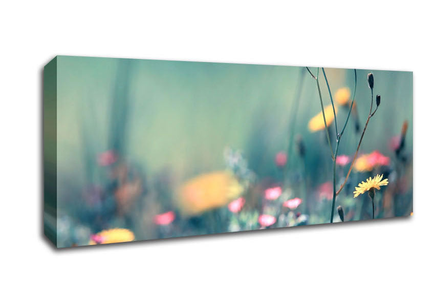 Picture of Dandelion Garden Panoramic Canvas Wall Art