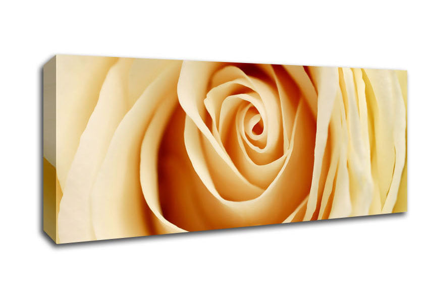 Picture of Delicate Heart Panoramic Canvas Wall Art