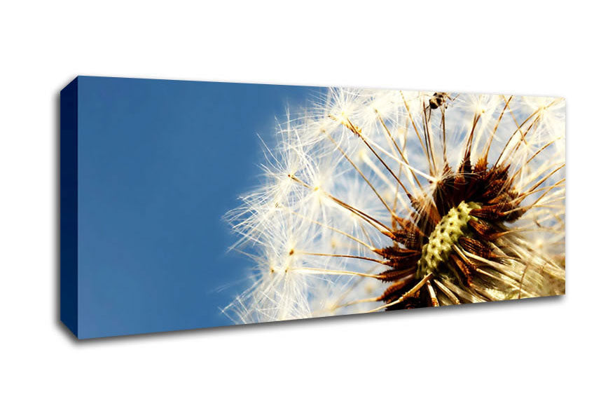 Picture of Dandelion Skies Panoramic Canvas Wall Art