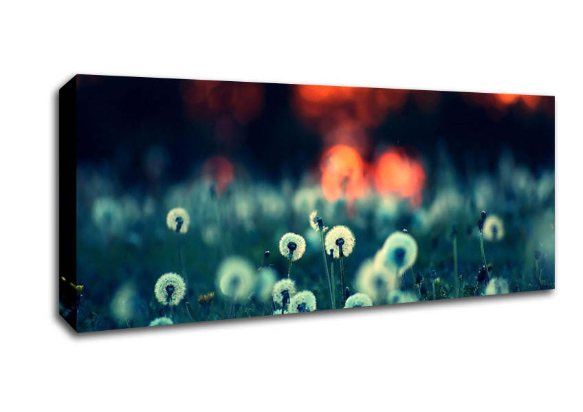 Picture of Dandelions At Sunset Panoramic Canvas Wall Art