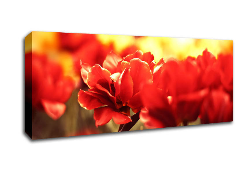 Picture of Memory Panoramic Canvas Wall Art