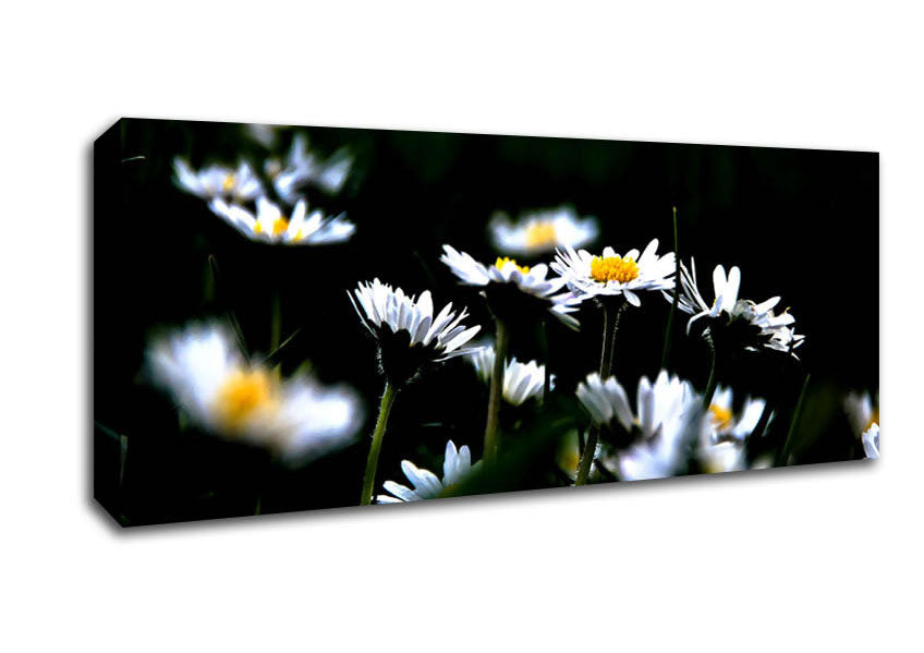 Picture of Grass And White Flowers Panoramic Canvas Wall Art