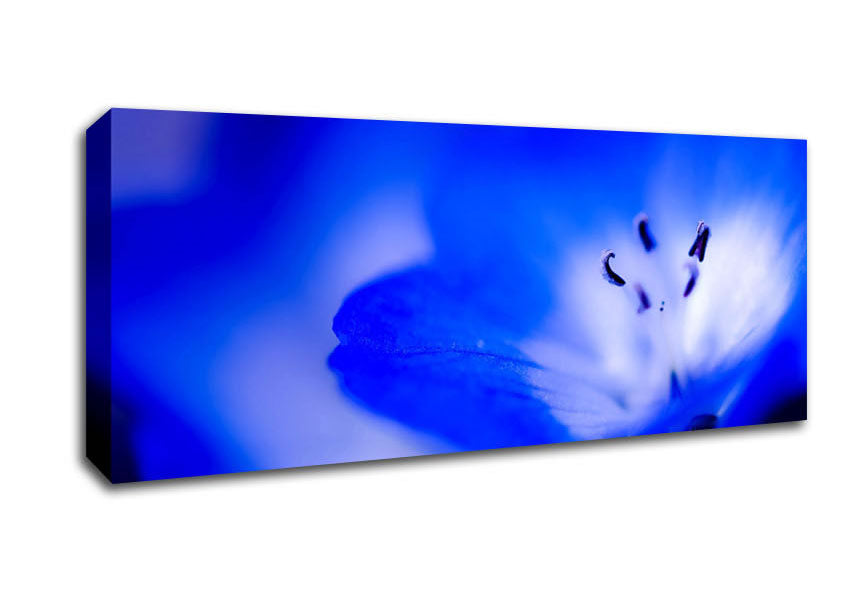 Picture of Electric Blue Panoramic Canvas Wall Art