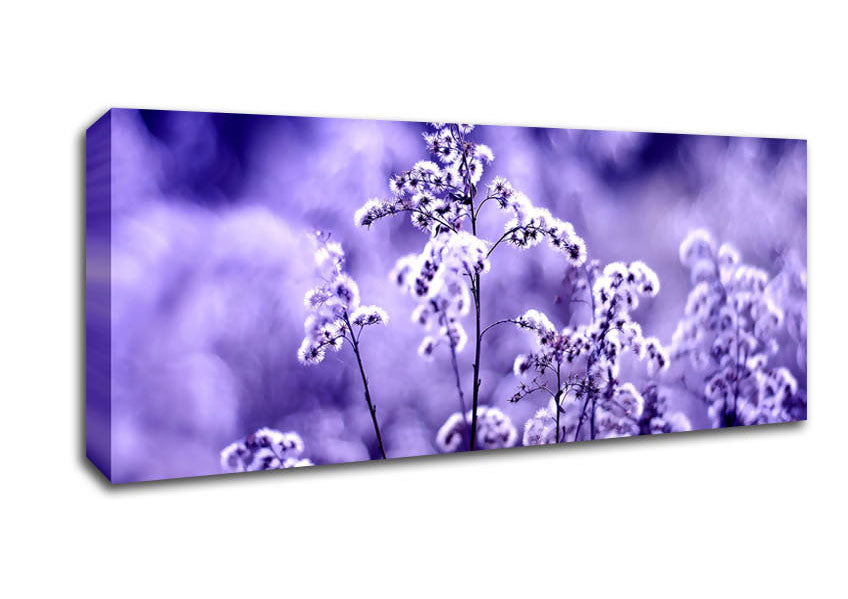 Picture of Motion Blur Panoramic Canvas Wall Art