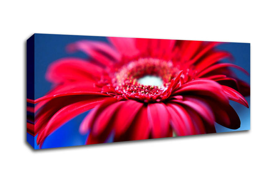 Picture of Fathers Day Flowers Panoramic Canvas Wall Art
