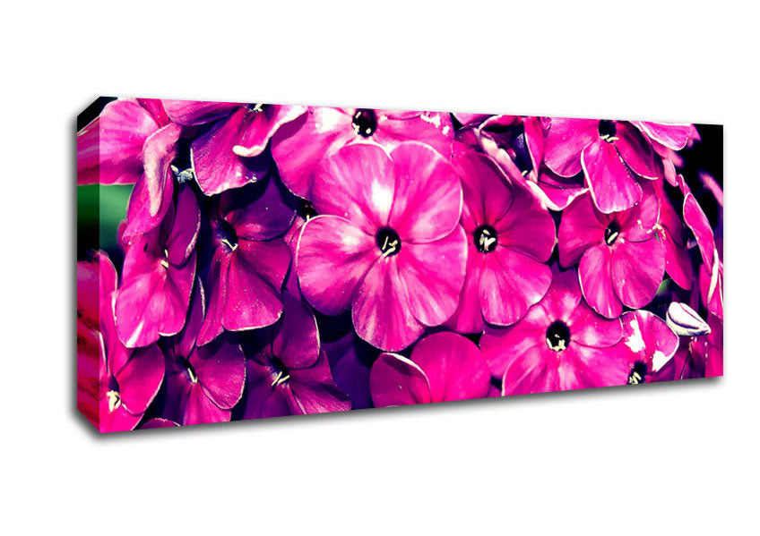 Picture of Fiore Panoramic Canvas Wall Art