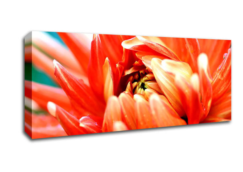 Picture of Orange Passion Panoramic Canvas Wall Art