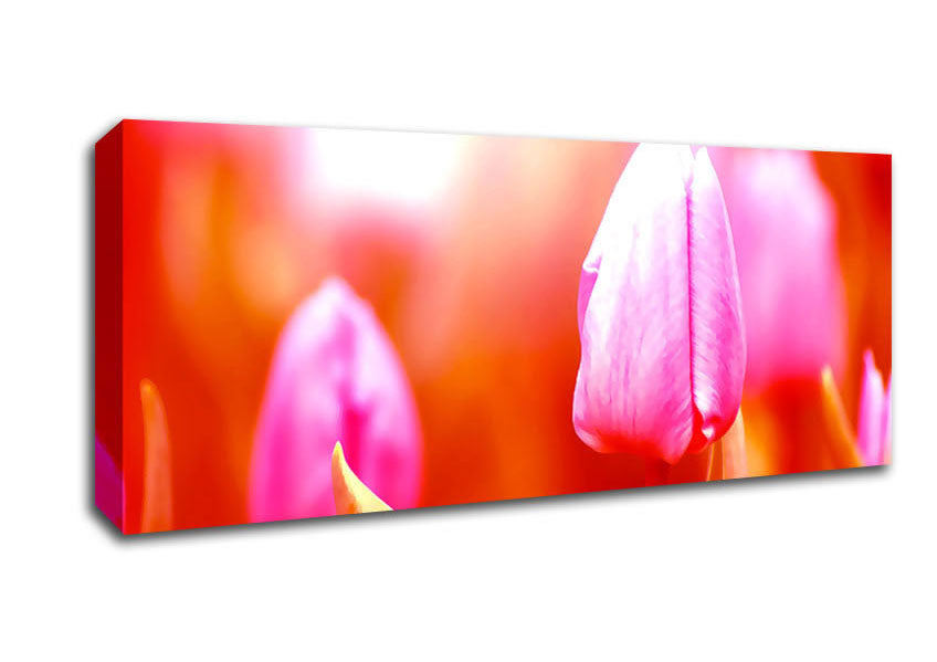 Picture of Pink Tulip On Red Panoramic Canvas Wall Art