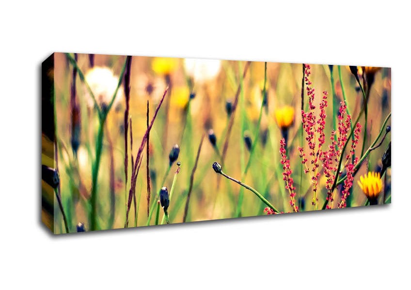 Picture of Flowers And Weeds Panoramic Canvas Wall Art