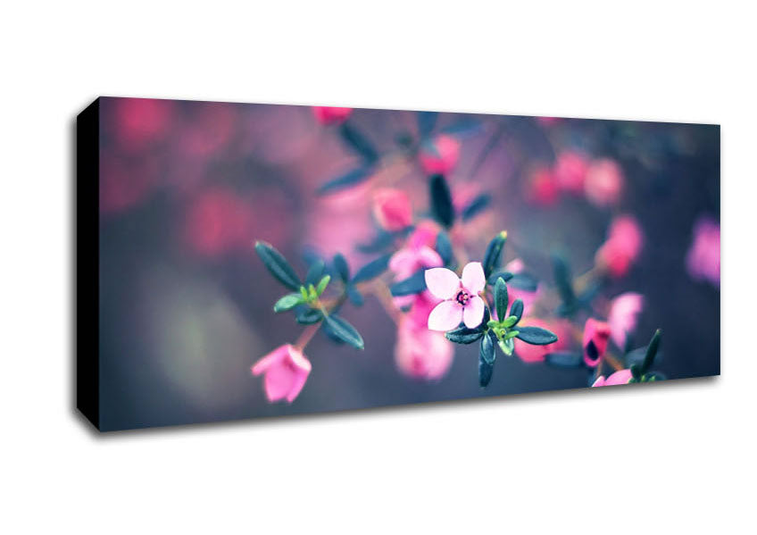 Picture of Four Petals Panoramic Canvas Wall Art