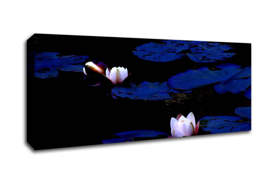 Picture of Pink Water Lily On Blue Panoramic Canvas Wall Art