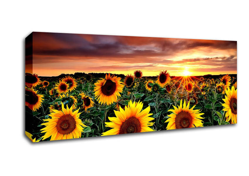 Picture of Magic Landscape Sunflower Field Panoramic Canvas Wall Art