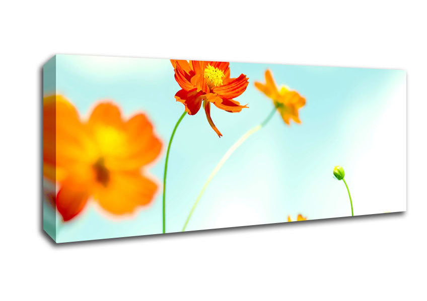 Picture of Perfect Flower Panoramic Canvas Wall Art