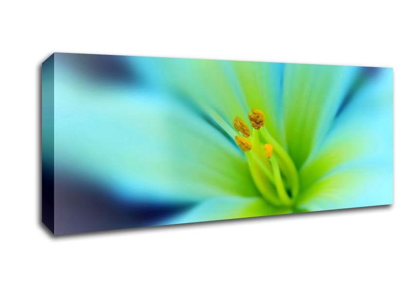 Picture of Dreamy Flower Panoramic Canvas Wall Art