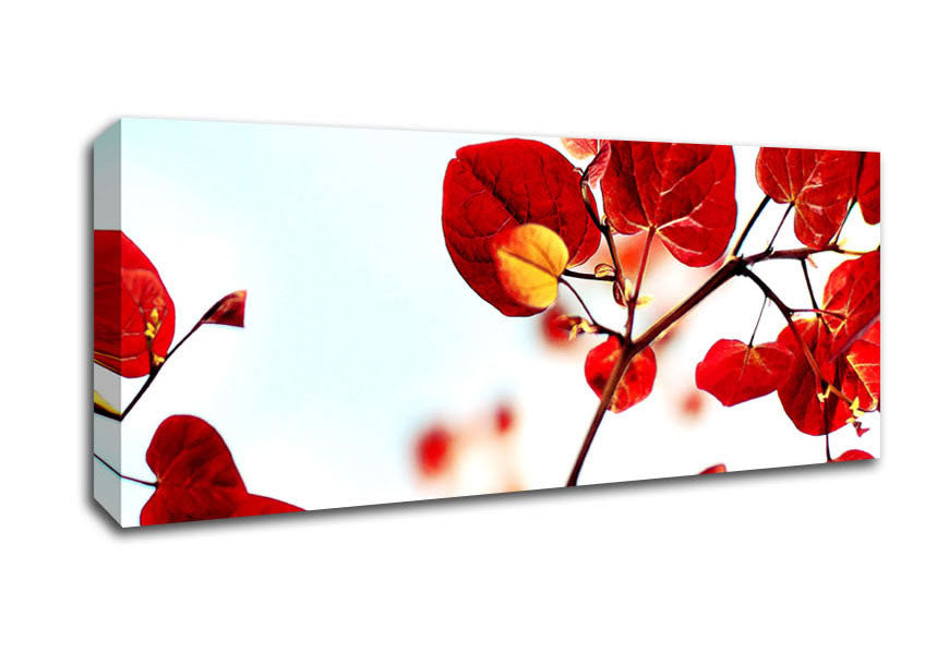 Picture of Heart Leaves Panoramic Canvas Wall Art