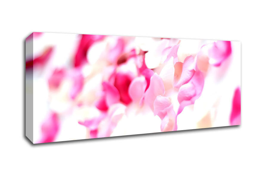 Picture of Pink Orchid Galour Panoramic Canvas Wall Art