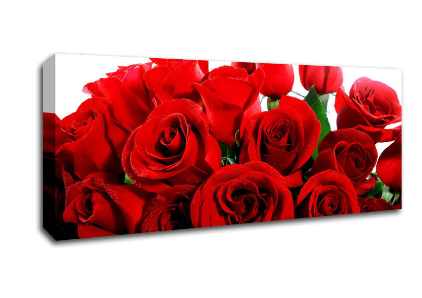 Picture of Lovely Red Roses Panoramic Canvas Wall Art