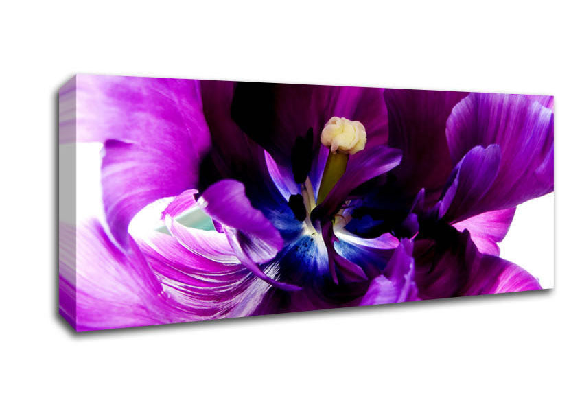 Picture of In The Purple Centre Of Beauty Panoramic Canvas Wall Art