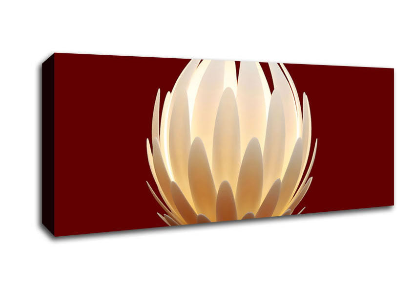 Picture of Glow Of The Flower Panoramic Canvas Wall Art