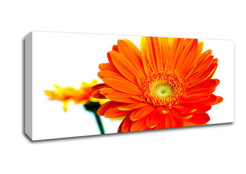 Picture of Orange Flames Panoramic Canvas Wall Art