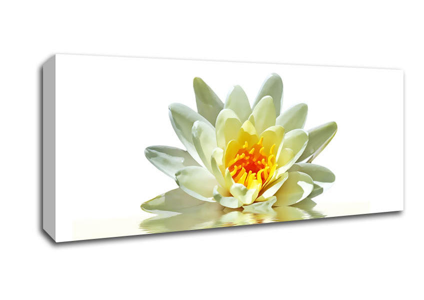 Picture of White Water Lily Reflection Petals Panoramic Canvas Wall Art