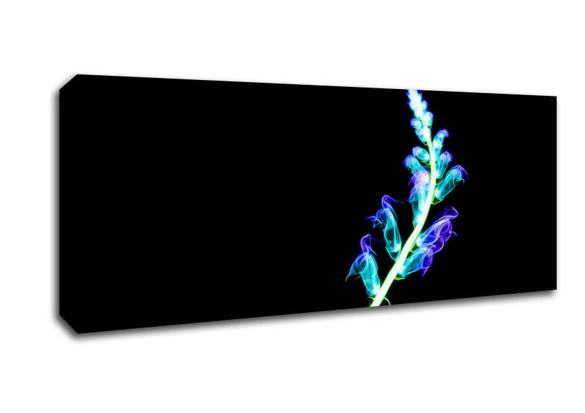 Picture of X-Ray Purple Panoramic Canvas Wall Art