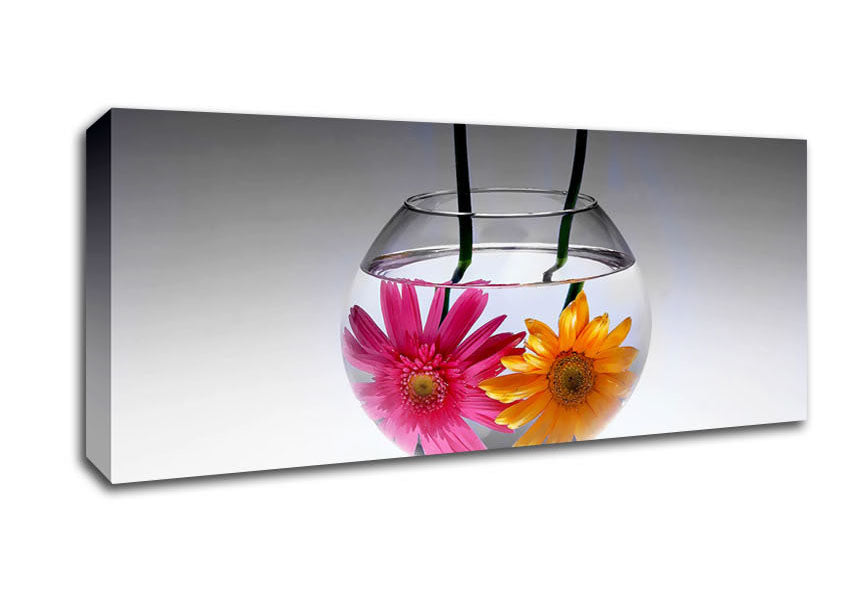 Picture of Gerbera Fishbowl B n W Panoramic Canvas Wall Art