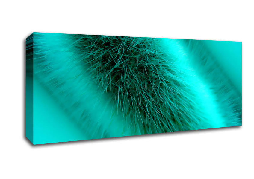 Picture of Fur Stem Panoramic Canvas Wall Art