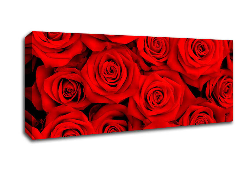 Picture of Lovely Roses For The One I Love Panoramic Canvas Wall Art
