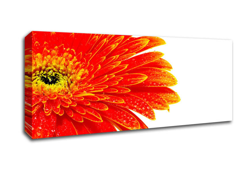 Picture of Lava Petals Panoramic Canvas Wall Art