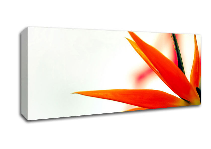 Picture of Orange Bird Of Paradise Panoramic Canvas Wall Art